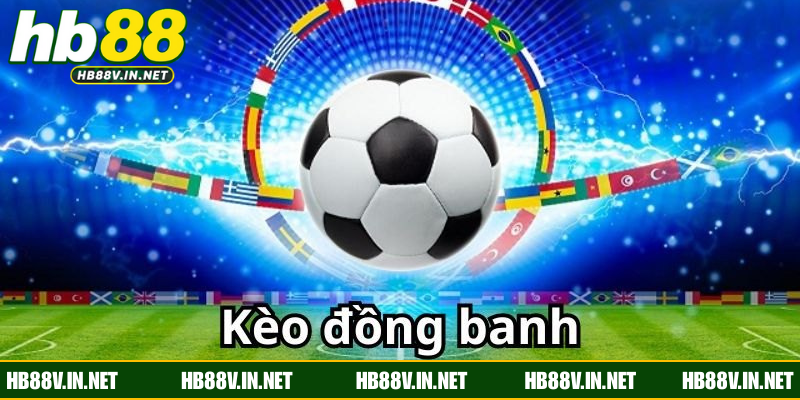 Bí kíp đọc kèo siêu đơn giản cho tân binh mới